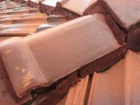 GP Roofing - Ceiling Repairs - East Rand image 10